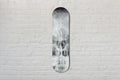 Planche de skate Cannonball Fade Out - radiographie de crâne