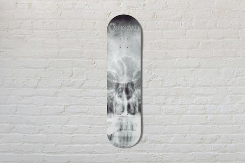 Planche de skate Cannonball Fade Out - radiographie de crâne